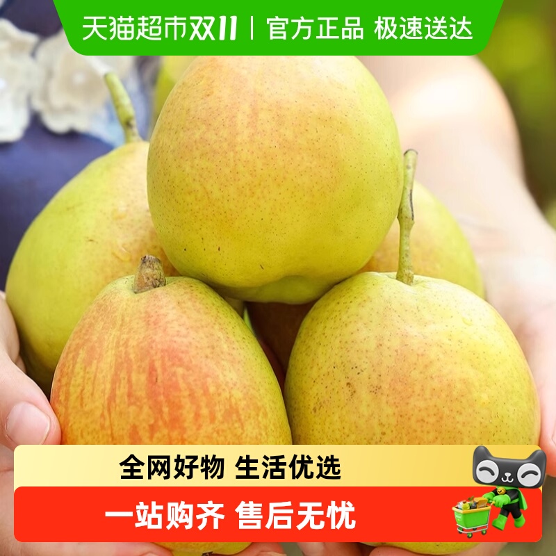 库尔勒香梨香梨