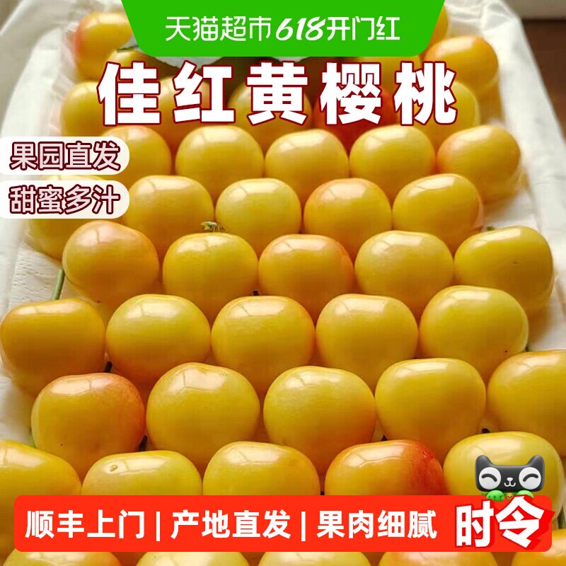 末浅佳红黄樱桃大连大樱桃