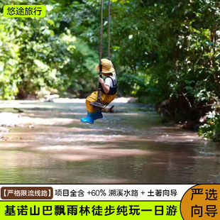 基诺山巴飘雨林徒步纯玩一日游 严格限流线路  项目全含  60%溯溪