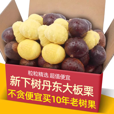 新下树正宗新鲜生现摘丹东板栗栗子锥去毛球油栗仁蔬罗田