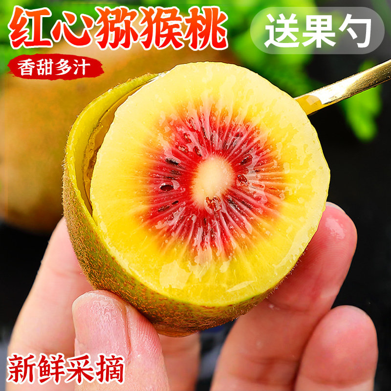 四川红心猕猴桃新鲜奇异果30枚装当季现摘蒲江弥猴桃水果礼盒整箱