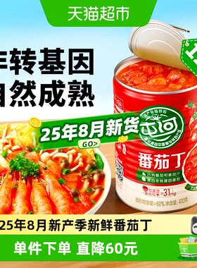 屯河新疆内蒙番茄丁410gx12罐