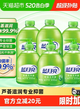 蓝月亮洗手液家用芦荟抑菌滋润瓶装500g*6瓶温和不伤手正品