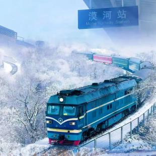 哈尔滨/雪乡/雪谷/漠河/北极村极光游  定制游 一单一团