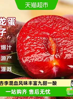 京运达恐龙蛋李子