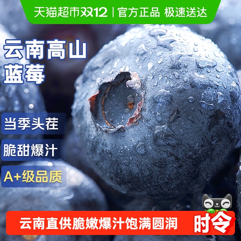 云南高山蓝莓鲜果新鲜水果花香蓝梅应当季整箱【下拉详情领补贴】