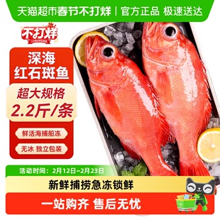 海仙部落冰岛红石斑鱼鲜活冷冻新鲜超大条红鱼龙胆富贵鱼海鲜