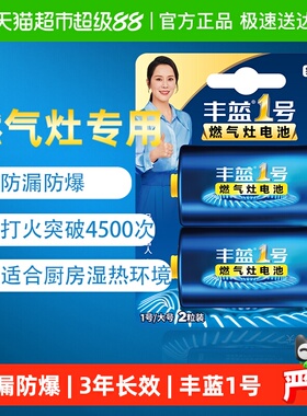 南孚丰蓝1号燃气灶电池2粒装一号大电池R20碳性煤气灶热水器专用