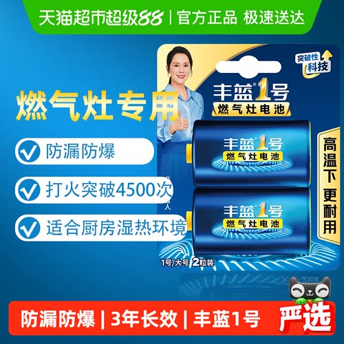 南孚燃气灶1号碳性电池防漏2只