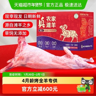 正官和羊肉烧烤全羊宁夏滩羊新鲜现杀盐池羔羊一整只羊年货送礼