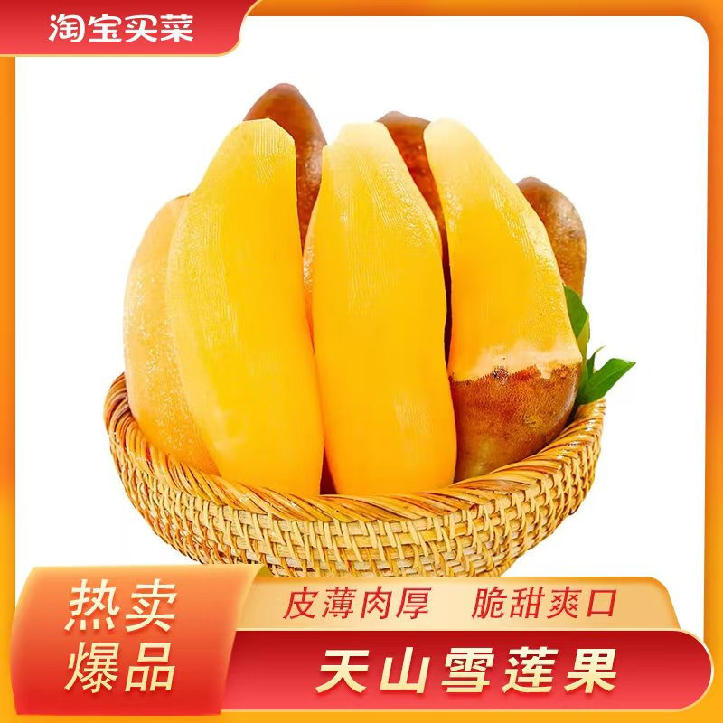 正宗云南天山雪莲果当季新鲜水果黄心雪莲果脆甜9斤包邮