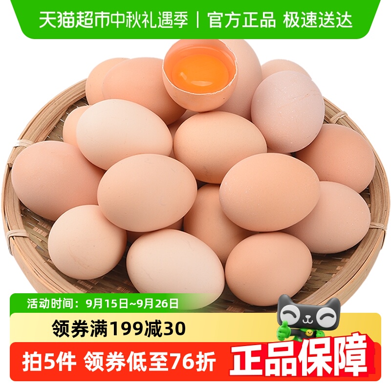 晨诚新鲜散养土鸡蛋45g×50只