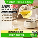 小熊养生壶全玻璃家用多功能煮茶烧水壶办公室小型恒温壶2025新款