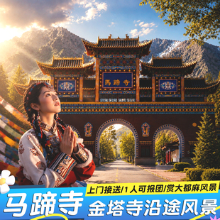 张掖一日游 深度金塔寺看风景马蹄寺特窟 三十三天石窟  精致小团