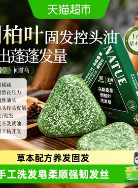 洪艾堂侧柏叶防脱发育发洗发皂
