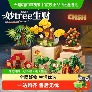 费米积木盲盒多肉盆栽系列永生花拆拆乐玩具送女朋友节日生日礼物