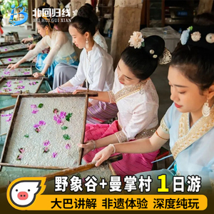 西双版纳野象谷+曼掌村纯玩一日游 品质纯玩丨非遗文化丨亲子体验