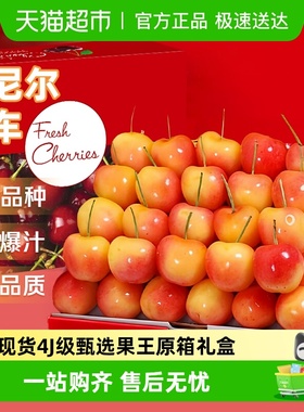 智利进口金黄车厘子雷尼尔水果整箱礼盒应当季大樱桃345J孕妇现货