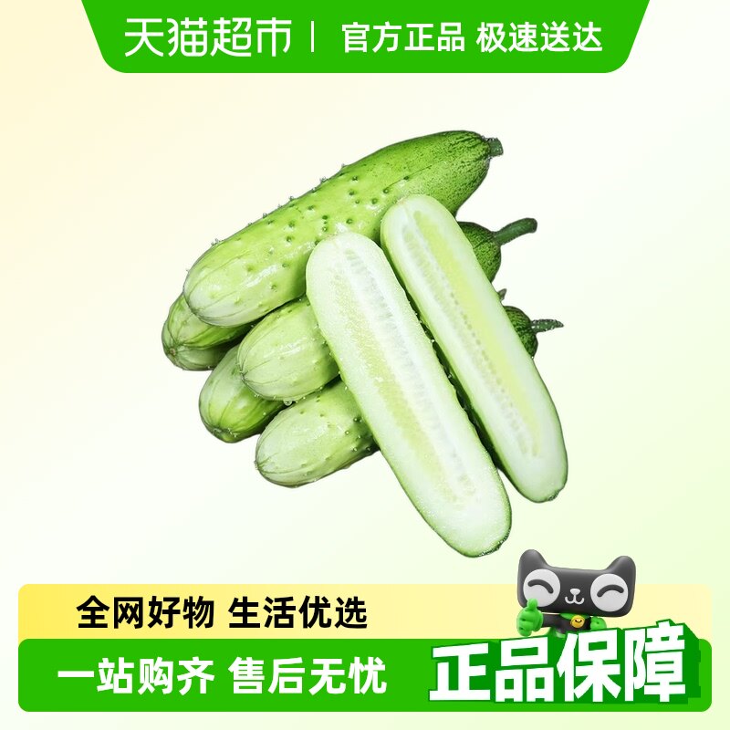 ����ɽ�����ƹ�ˮ��С�ƹ�����������Ե���ũ��ʱ���߲�