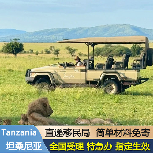 坦桑尼亚签证 个人旅游 电子签证 加急办理