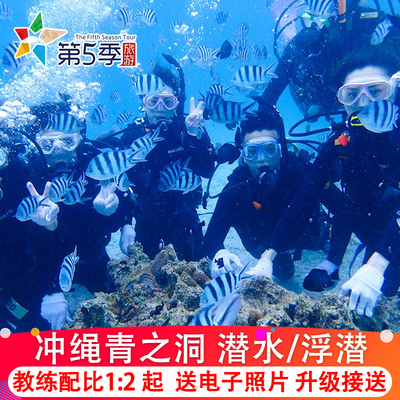 青洞潜水体验一日游