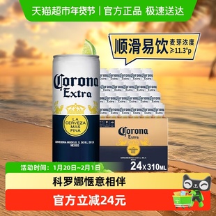 Corona/科罗娜特级啤酒310ml*12听11.3°P墨西哥风味拉格整箱批发