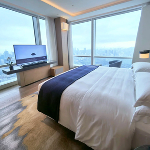 深圳四季柏悦莱佛士安达仕文华东方酒店预订1晚特惠套餐含双早