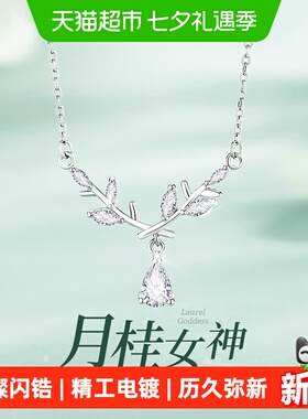 珍尚银S925材质新款银饰品