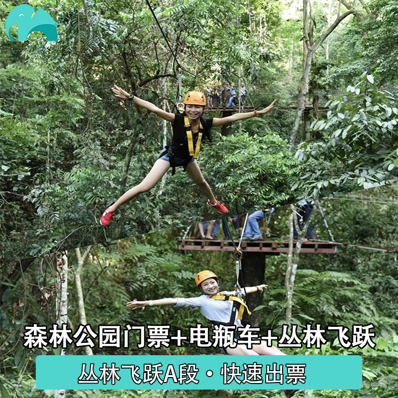 [西双版纳原始森林公园-大门票+电瓶车+A段丛林飞跃]大门票+电瓶车+A段丛林飞跃