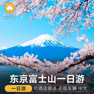 东京富士山一日游箱根河口湖罗森奥莱五合目KABA河马巴士小团