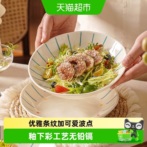 美康之家法式釉下彩盘子家用菜盘