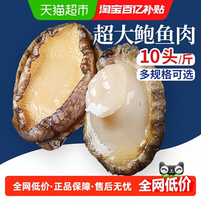 云储生活鲜活冷冻特大鲍鱼肉