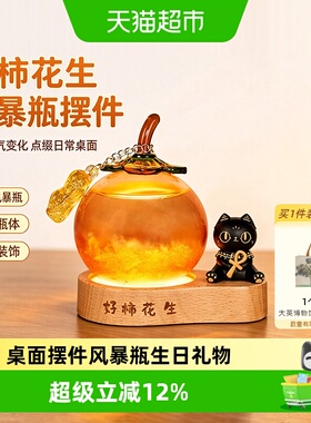 柿柿如意风暴瓶小夜灯