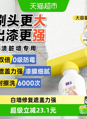 立邦大滚刷补墙膏快速修补500g