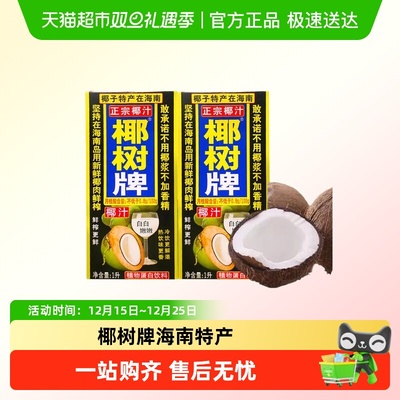 椰树海南特产椰汁饮料