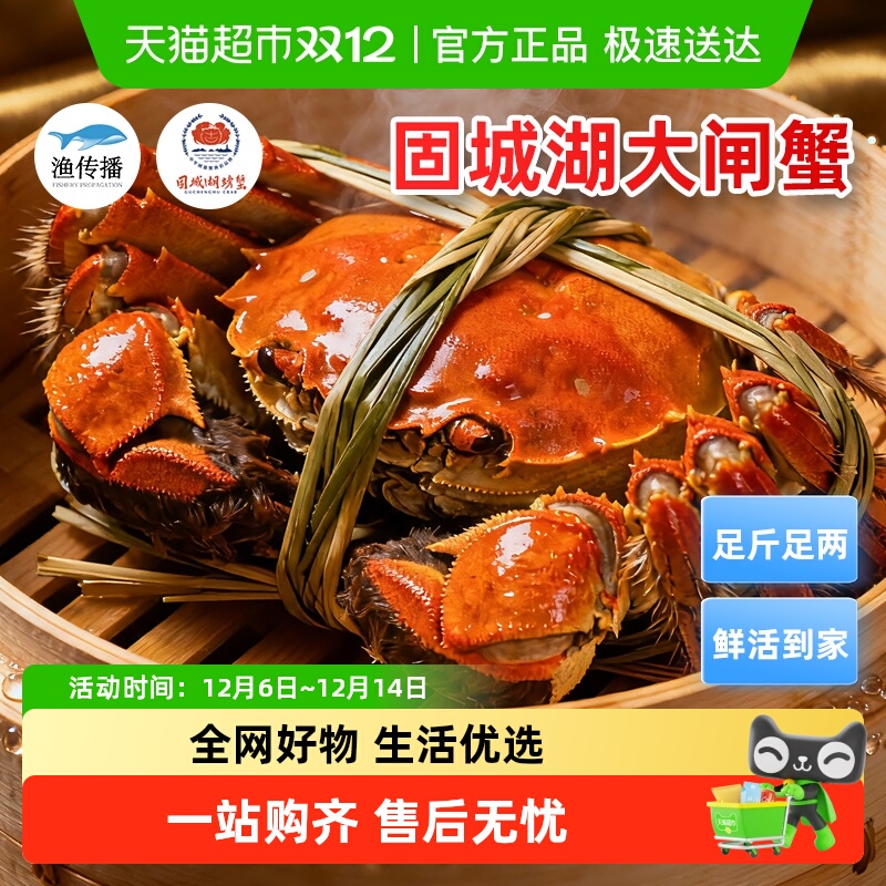 渔传播固城湖礼盒大闸蟹母蟹