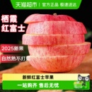 整箱栖霞年货脆甜大果 正宗山东烟台红富士苹果新鲜水果应当季