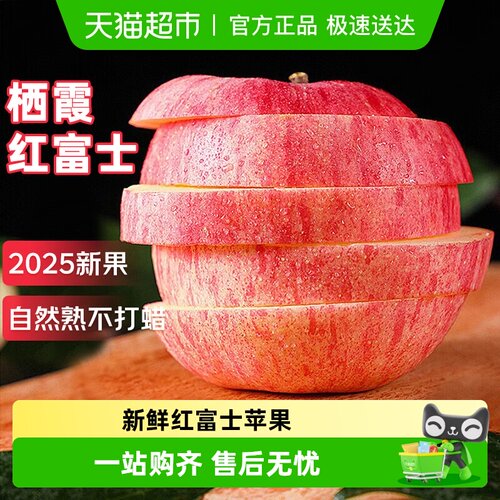 寻天果蔬山东红富士新鲜水果苹果