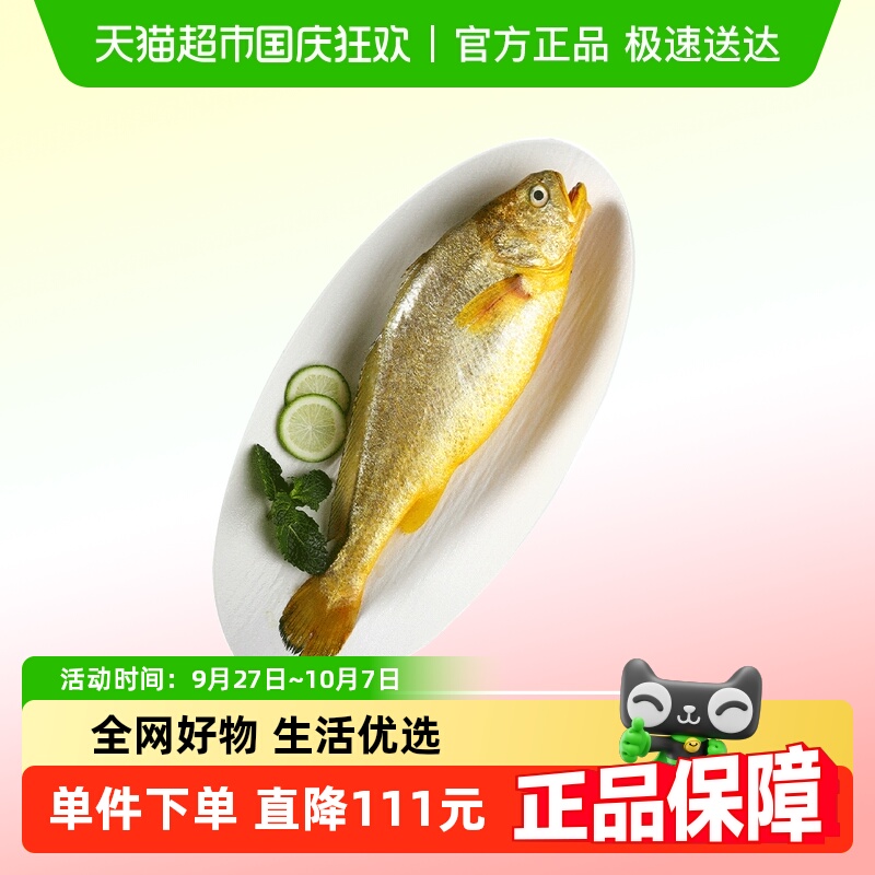 拾鲜生深海冷冻大黄鱼