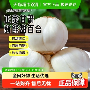 甘肃兰州鲜百合新鲜食用甜百合生百合非百合干