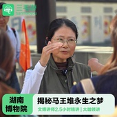 亲子研学湖南博物院金牌大咖讲解 2.5H 三毛游 湖南博物院讲解