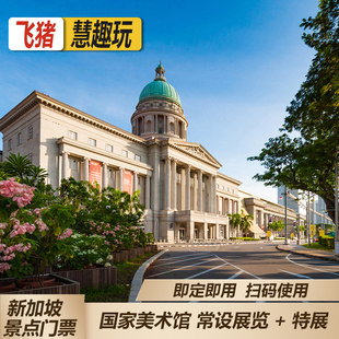 [新加坡国家美术馆-大门票+特别展]常设展览+当期特展  可订当天