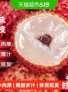 广东桂味荔枝应当季新鲜时令水果妃子笑白糖罂荔枝王海南现摘现发