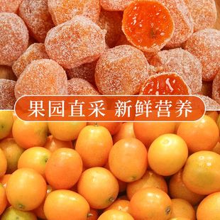 新疆天山雪桔冰糖金桔化痰金橘蜜饯果脯酸甜休闲零食水果干