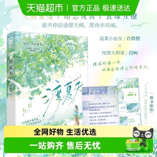 书籍 青春热恋治愈现代言情小说正版 渡夏天 甜野豹著暗恋成真