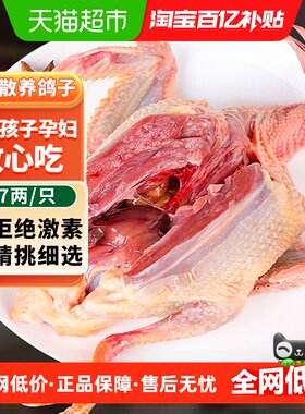 卖鱼郎先生活体乳鸽农家散养