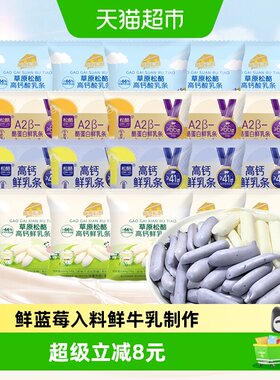 松酪内蒙古高钙鲜乳条多味20小包