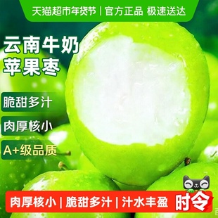 云南牛奶苹果枣应当季新鲜水果脆甜大青枣蜜枣贵妃冬枣整箱