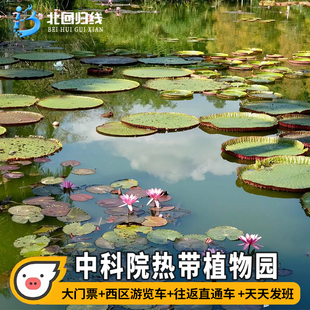 [中国科学院西双版纳热带植物园-大门票+西区游览车+往返直通车]植物园门票+往返车+西区电瓶车
