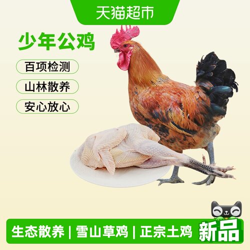 三德子雪山少年公鸡甄选美味